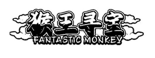 FANTASTIC MONKEY