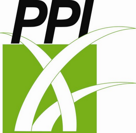 PPI