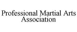 PROFESSIONAL MARTIAL ARTS ASSOCIATION