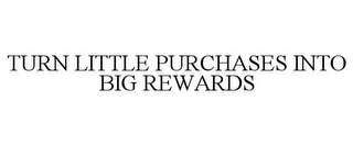 TURN LITTLE PURCHASES INTO BIG REWARDS