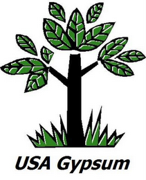 USA GYPSUM