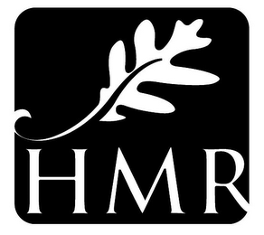 HMR