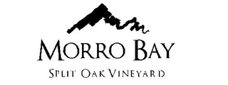 MORRO BAY SPLIT OAK VINEYARD