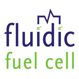 EE FLUIDIC FUEL CELL