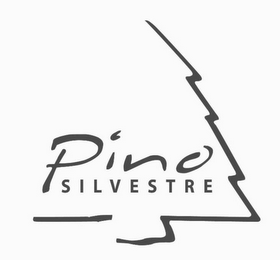 PINO SILVESTRE