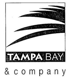 TAMPA BAY & COMPANY