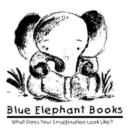 BLUE ELEPHANT BOOKS WHAT DOES YOUR IMAGINATION LOOK LIKE?