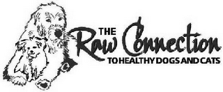 THE RAW CONNECTION TO HEALTHY DOGS AND CATS