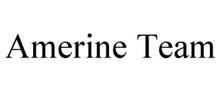 AMERINE TEAM