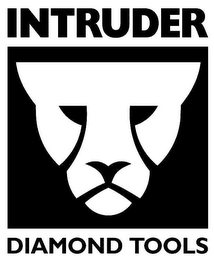 INTRUDER DIAMOND TOOLS