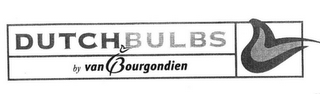 DUTCH BULBS BY VAN BOURGONDIEN