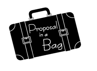 PROPOSAL IN A BAG