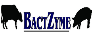 BACTZYME