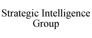 STRATEGIC INTELLIGENCE GROUP