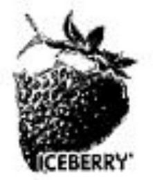 ICEBERRY