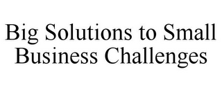 BIG SOLUTIONS TO SMALL BUSINESS CHALLENGES