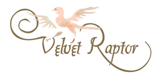 VELVET RAPTOR