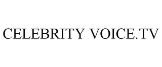 CELEBRITY VOICE.TV