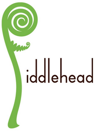 FIDDLEHEAD