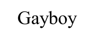 GAYBOY