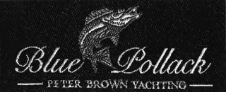 BLUE POLLACK PETER BROWN YACHTING