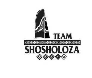 TEAM SHOSHOLOZA