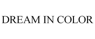 DREAM IN COLOR