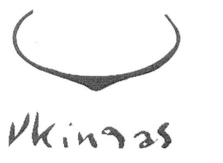 VKINGAS