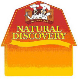 NATURAL DISCOVERY THE NATURAL CHEFS ALL NATURAL GOOD AND SERVE NO ARTIFICIAL INGREDIENTS