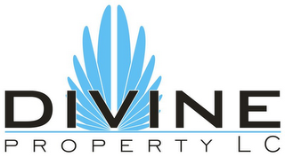 DIVINE PROPERTY LC