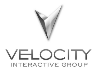 V VELOCITY INTERACTIVE GROUP