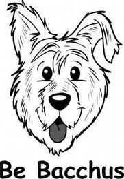 BE BACCHUS