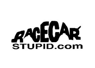 RACECAR STUPID.COM