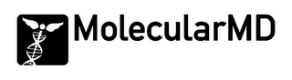 MOLECULARMD