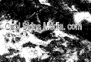 COOL SKINS MEDIA. COM