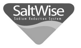 SALTWISE SODIUM REDUCTION SYSTEM