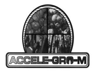 ACCELE-GRO-M