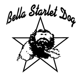 BELLA STARLET DOG