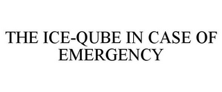 THE ICE-QUBE IN CASE OF EMERGENCY