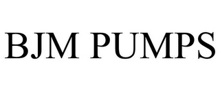 BJM PUMPS