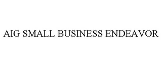 AIG SMALL BUSINESS ENDEAVOR