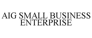 AIG SMALL BUSINESS ENTERPRISE