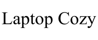 LAPTOP COZY