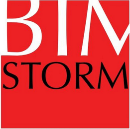 BIM STORM