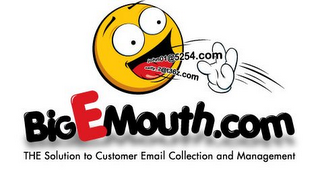 BIGEMOUTH.COM THE SOLUTION TO CUSTOMER EMAIL COLLECTION AND MANAGEMENT