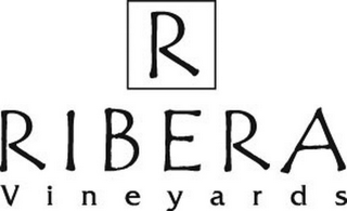 R RIBERA VINEYARDS