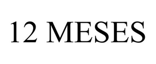 12 MESES