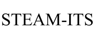 STEAM-ITS