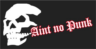 AINT NO PUNK