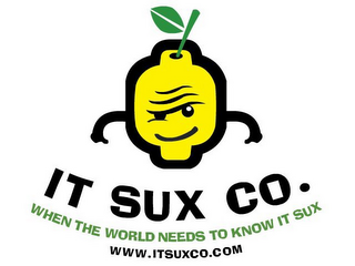 IT SUX CO. WHEN THE WORLD NEEDS TO KNOW IT SUX WWW.ITSUXCO.COM